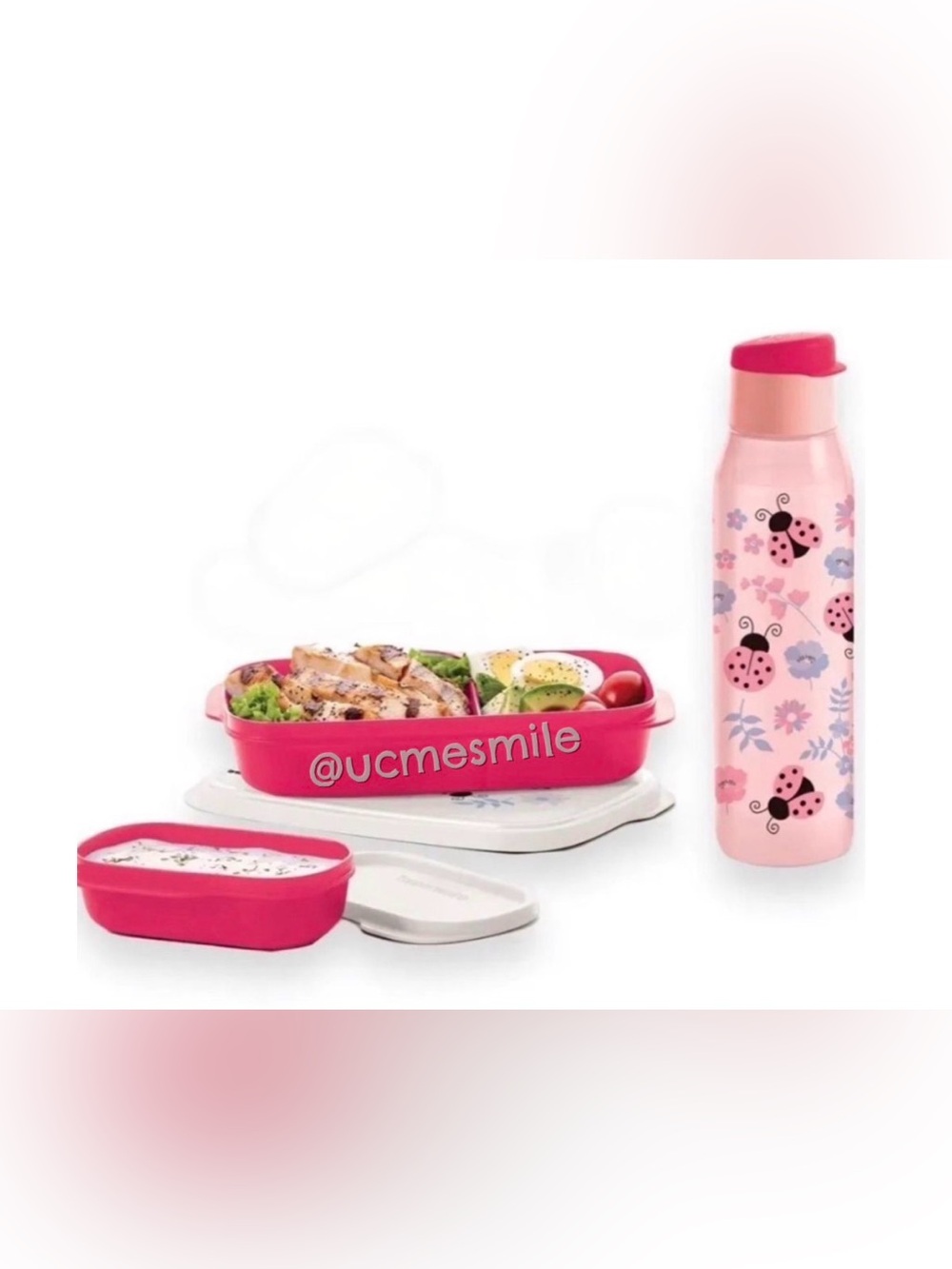 Tupperware Ladybug Eco Water Bottle & Divided Container Set